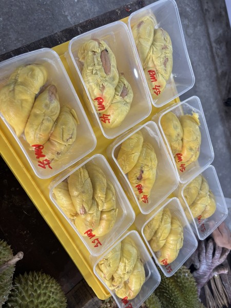 【今がシーズン！】ドリアンまるわかりガイド