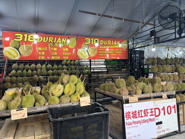 【今がシーズン！】ドリアンまるわかりガイド