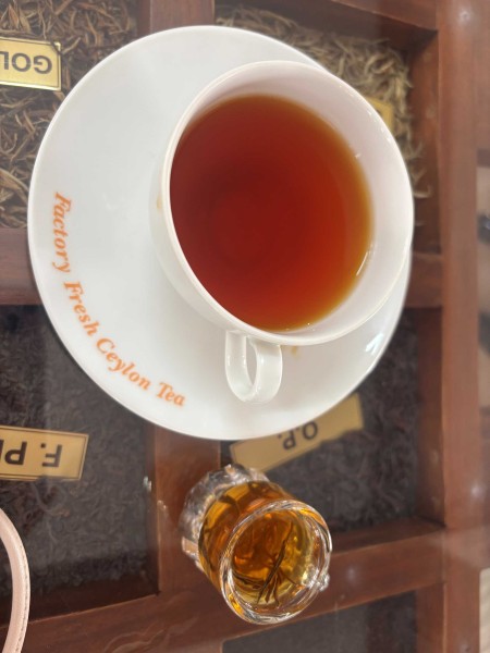 【第3回】スリランカ旅最終回｜紅茶・象・バワ建築のお寺