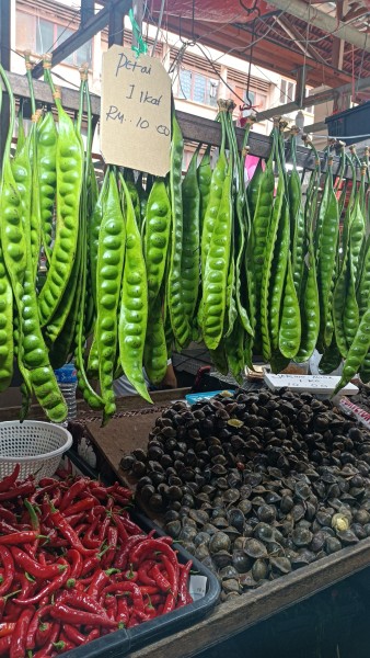 【もう食べた？】マレーシアの「臭い豆」プタイとは