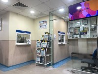 【マレーシアの動物病院】Animal Medical Center体験記