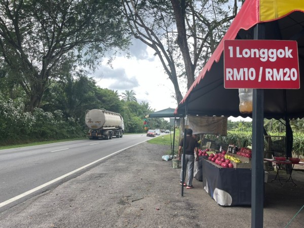 【ドラゴンフルーツ】マレーシア・セパンで農場見学