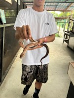 【週末旅行】ポートディクソンおすすめスポットその２｜ダチョウと競争！？