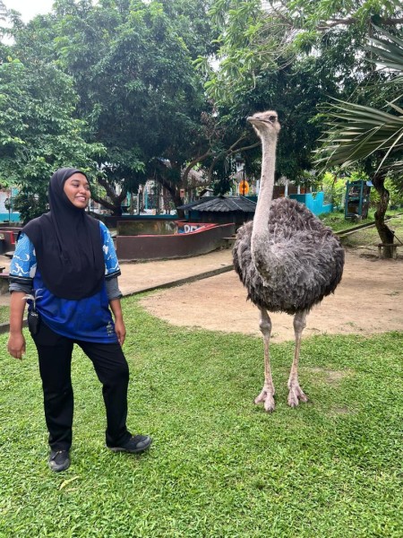 【週末旅行】ポートディクソンおすすめスポットその２｜ダチョウと競争！？