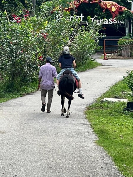 【週末旅行】ポートディクソンおすすめスポットその２｜ダチョウと競争！？