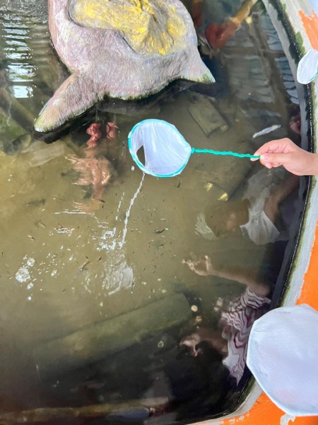 【週末旅行】ポートディクソンおすすめスポットその２｜ダチョウと競争！？