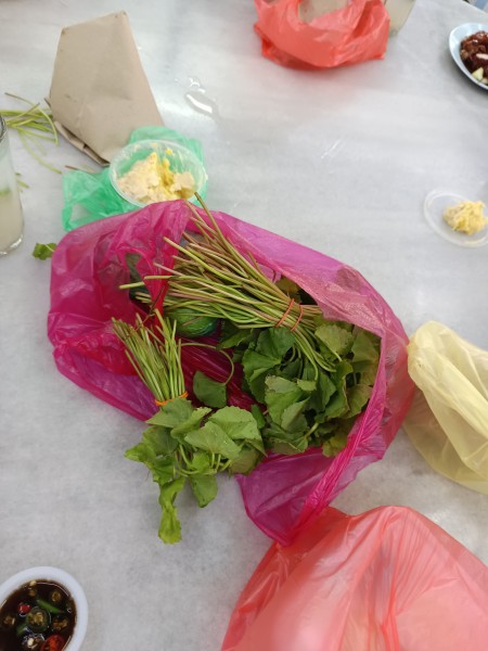 【マレーシア在住者の特権！】ペガガ（CICA）がすごい。美容・健康・脳に効くと言われるミラクルハーブ