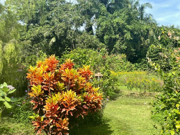 【エコ＆オーガニック】Kongsi Community Marketに行ってきました！