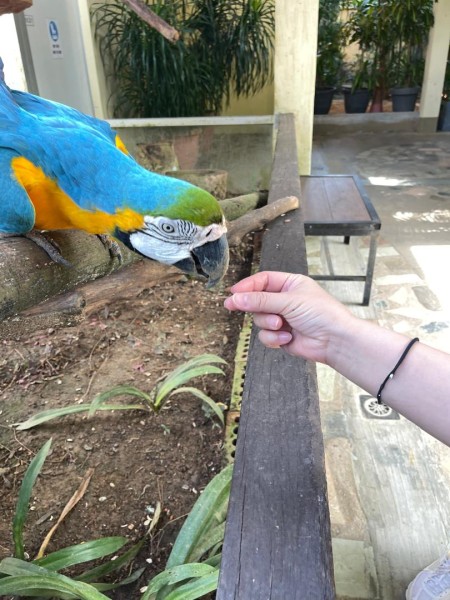 【ランカウイ】おすすめスポット④｜想像以上にワイルドな動物園 Langkawi Wildlife Park