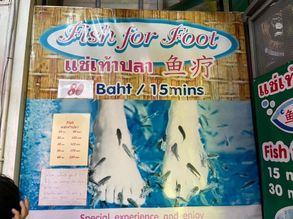 【タイ旅行おすすめ④】チェンマイのあれこれ