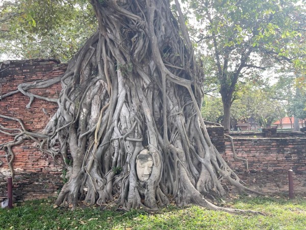 【タイ旅行おすすめ⑥】最終回はアユタヤ！ローカル電車で日帰りで行こう