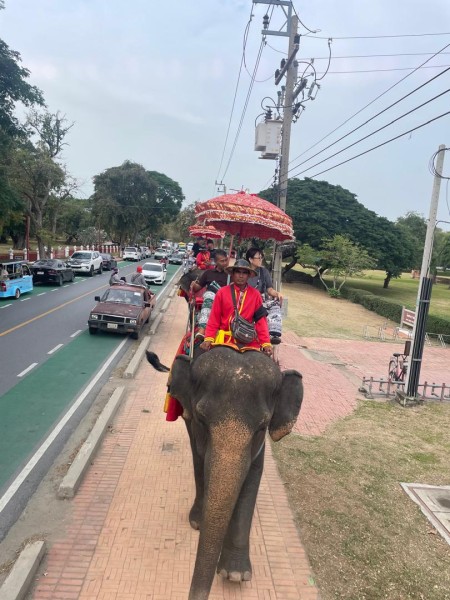 【タイ旅行おすすめ⑥】最終回はアユタヤ！ローカル電車で日帰りで行こう