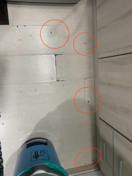 マレーシア移住の天敵「ゴキブリ」を完全封印！現地で愛用される最強の駆除パウダーとは？