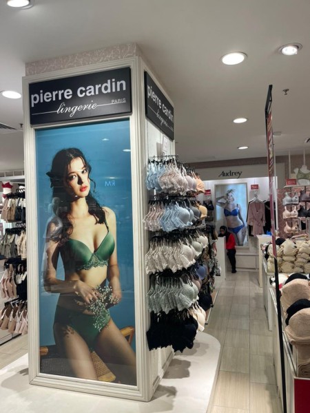 【MM2H女性必読】マレーシア移住の盲点「下着問題」を解決！大きいサイズが買えるおすすめブランド