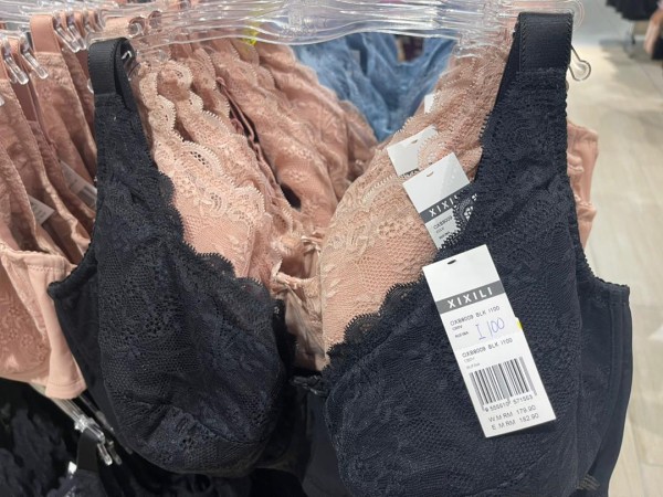 【MM2H女性必読】マレーシア移住の盲点「下着問題」を解決！大きいサイズが買えるおすすめブランド