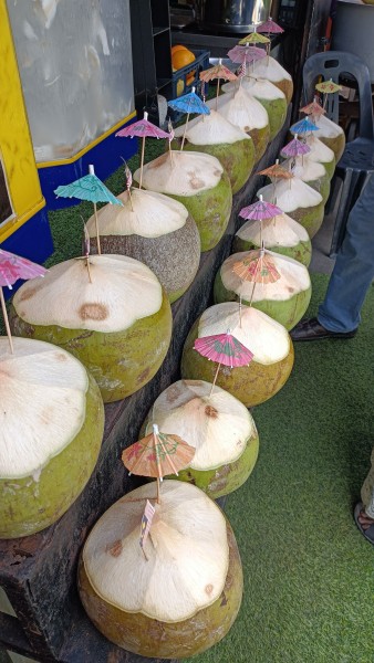 【徹底比較】マレーシア教育移住 「MM2H vs 学生ビザ」どっちがいい？！