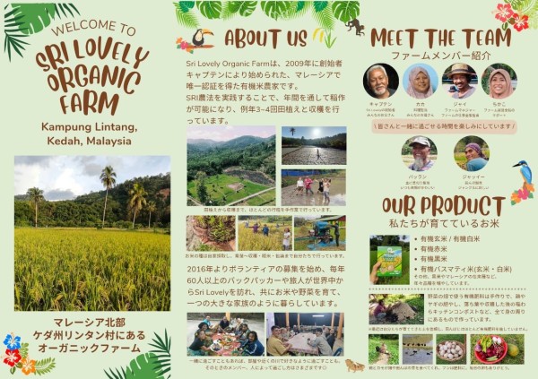 「KL暮らしに少し飽きたら」MM2Hだからこそ行きたい“もう一つのマレーシア”