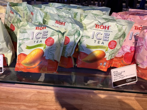 【大阪万博2025レポ】マレーシア館がすごい！MM2Hで移住を考えてる人も絶対行くべき理由