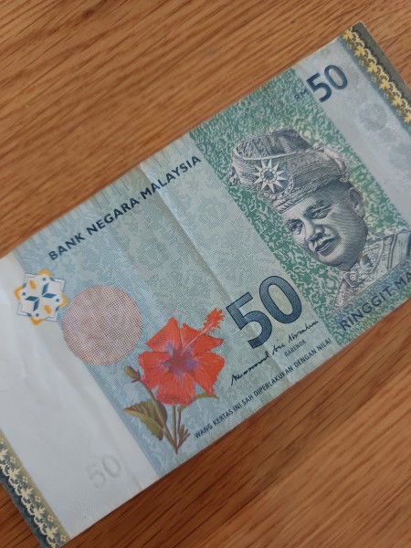 【MM2H移住者向け】マレーシアの国花ハイビスカスにこめられた意味とは？